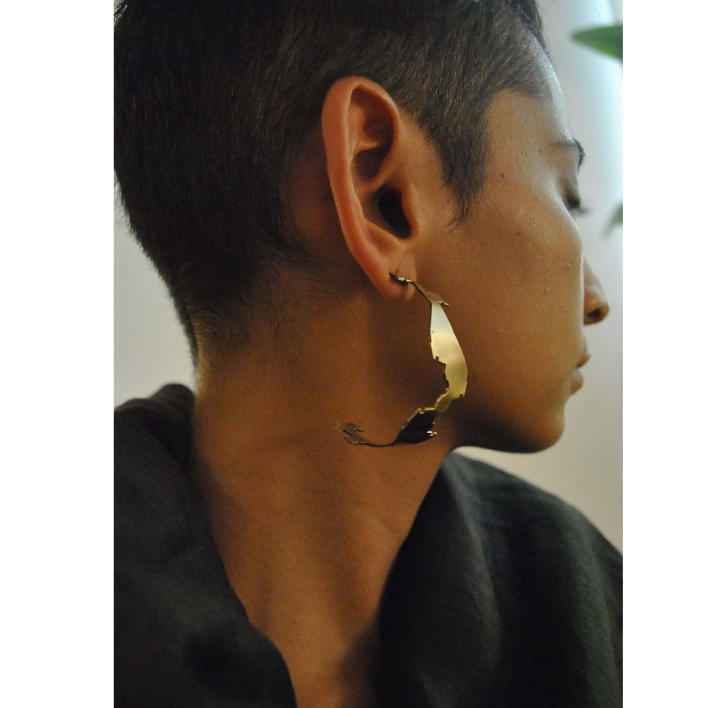 recursive hoops